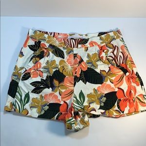 Zara - Trafaluc Collection Shorts ❗️